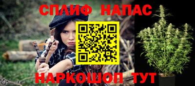 индика Обнинск