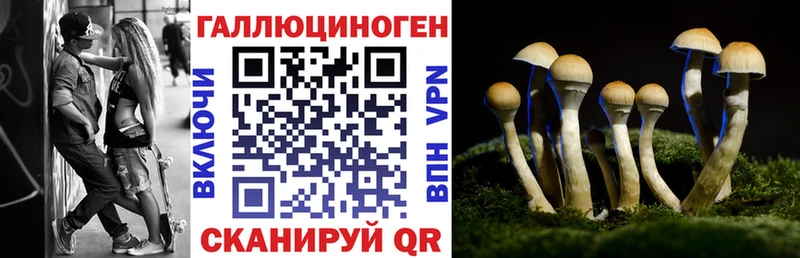 Псилоцибиновые грибы Psilocybe  Можайск 