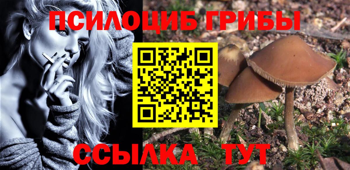 Галлюциногенные грибы GOLDEN TEACHER Можайск