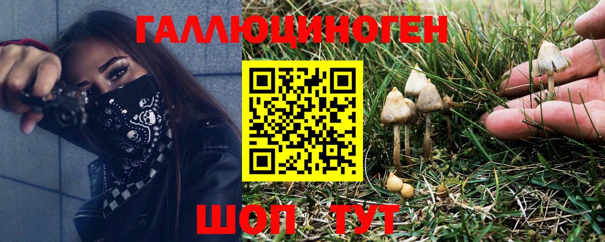 Можайск  купить наркотики сайты  Вход с VPN  Псилоцибиновые грибы ЛСД 